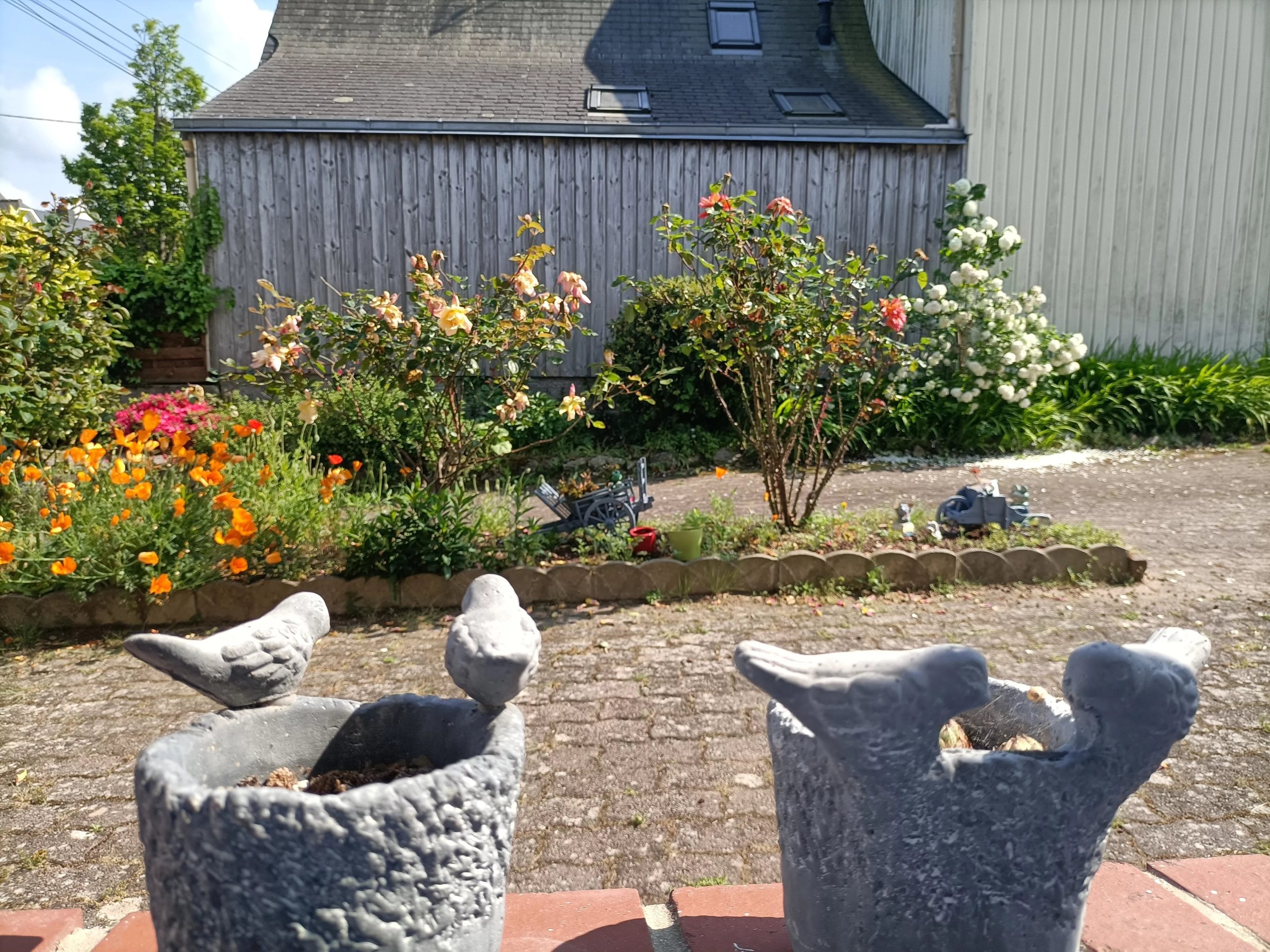 Photo du bien immobilier